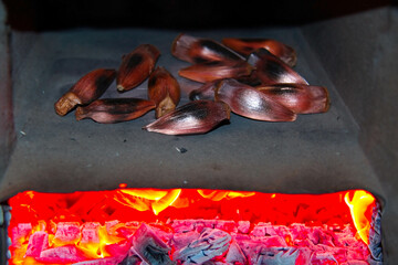 Araucaria pine nut roasted in a rustic way on a hot surface in the fire
