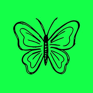 Simple butterfly illustration animation, transparent 4K video, green screen