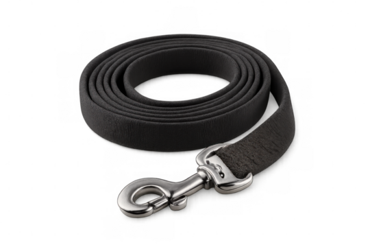 Rolled black dog leash with metal clip lying on a transparent background, ready for a walk in the park