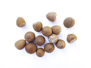 Areca Nut Seeds Isolated on White Background, Top View
