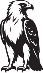 Eagle silhouette powerful bold line art, Bird of prey strong vector design