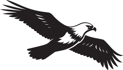 Eagle flying vector illustration bold pose, Soaring bird in black and white art