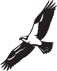 Osprey in flight silhouette clean design, Powerful bird vector artwork minimal style
