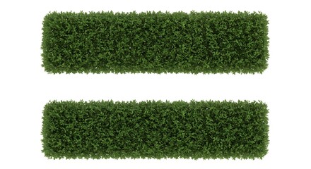Two parallel green hedges