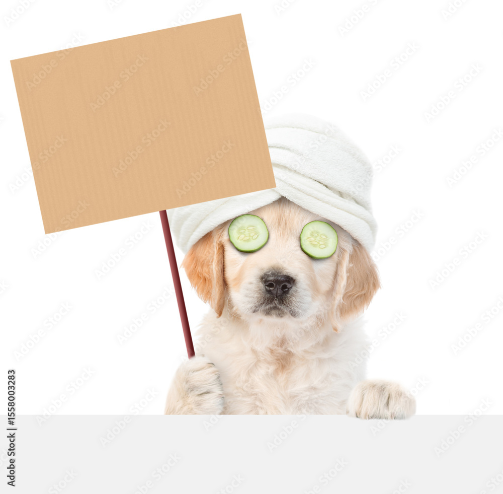Poster Funny Golden retriever puppy with towel on it head and with  pieces of cucumber on it eyes holds empty placard above empty white banner. isolated on white background