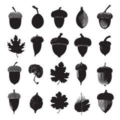 acorn clipart silhouette set, Black & White silhouette set