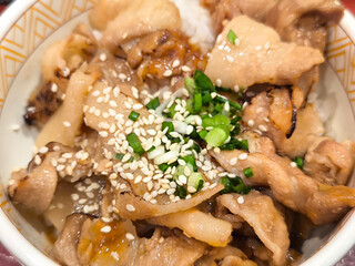Butadon Japanese Pork Rice Bowl with Sesame