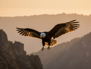 Obraz premium An eagle soaring over cliffs and valleys at sunrise