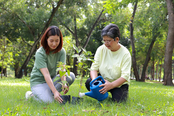 Volunteer mother and daughter are planting seedlings in the forest to help restore the forest. World Environment Day. Save the world. Plant trees to reduce global warming. Green ecosystem.