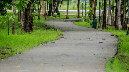 Peaceful winding concrete path surrounded by lush green grass and tall trees in a quiet park. 