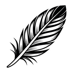 Obraz premium Black and White Detailed Feather Illustration graphic