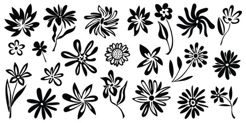 Hand drawn plant elements, flowers and leaves, isolated on white background, vector design
