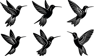 Flying Hummingbird Vector