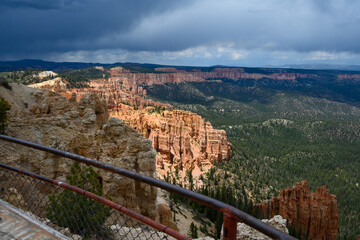 Natures beauty, red rock hoodoo formations and bristlecone pine trees at Rainbow Point in Bryce...
