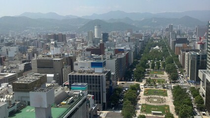 Ariel view of downtown with park 