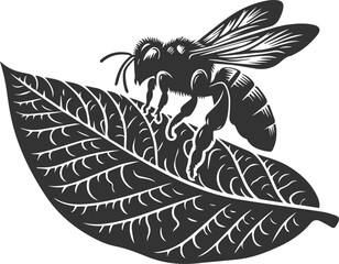 Vector of a insect silhouette black illustration drawing