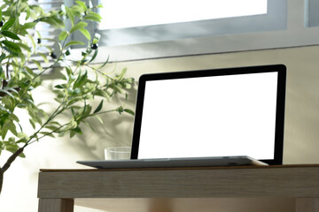 Minimalist workspace with blank screen laptop and green indoor plant by the window