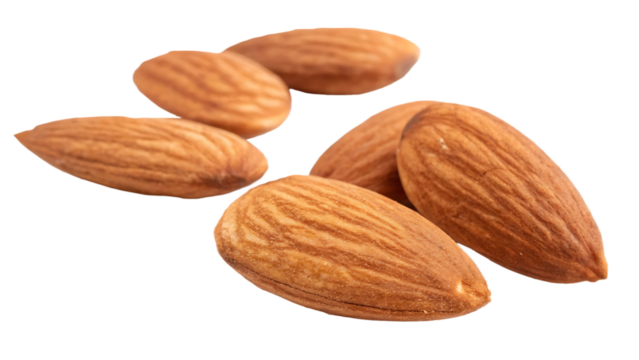 Almond technically a nut isolated on white background PNG. AI GENERATED.