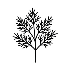 Dill Icon Outline Vector Illustration
