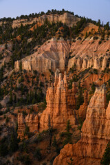 Sunrise in Fairyland Canyon lighting up red rock hoodoo formations and dark green pine trees, Bryce Canyon National Park, Utah
