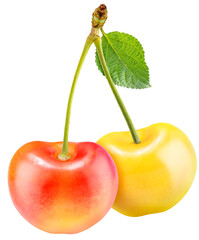 Yellow and Red Cherry isolated on white background, Yellow and Red Cherry on White Background With clipping path PNG file.