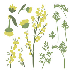 Stylized Botanical Art of Medicinal Herb Wormwood, Artemisia absinthium, Plant, Folliage, Flower, Fruit, Seed