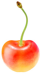 Yellow and Red Cherry isolated on white background, Yellow and Red Cherry on White Background With clipping path PNG file.