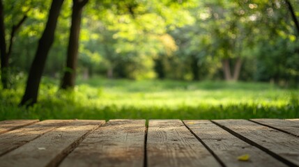 Wooden planks foreground, lush green forest background