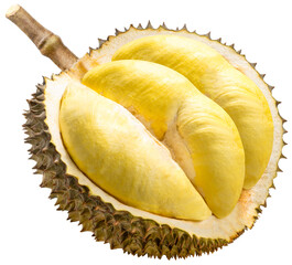 Fresh Durian fruit isolated on white background, Monthong Thai Durian fruit on white PNG file.
