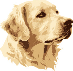 Dog head vector illustration