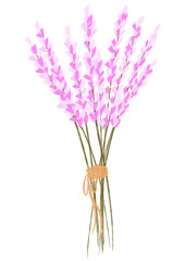 Fototapeta premium A small bunch of lavender tied with twine illustration.