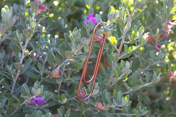 rose gold paperclip up close