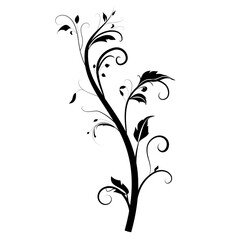 Floral design vector image