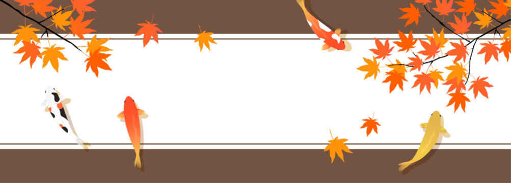 もみじと鯉のバナー背景_帯_茶色