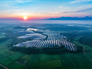 Photovoltaic panels on a hillside at sunrise