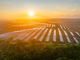 Photovoltaic panels on a hillside at sunrise