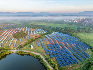 Photovoltaic panels on a hillside at sunrise
