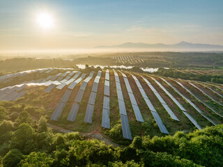 Photovoltaic panels on a hillside at sunrise