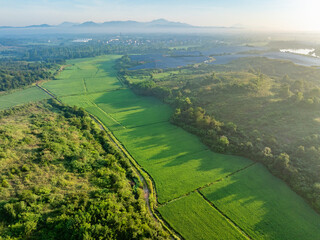 Overlooking the green rural scenery