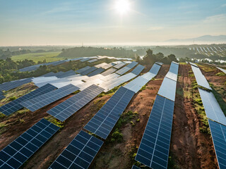 Photovoltaic panels on a hillside at sunrise