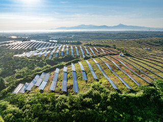 Photovoltaic panels on a hillside at sunrise