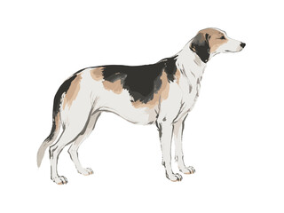 Elegant Ink Wash Dog Portrait
