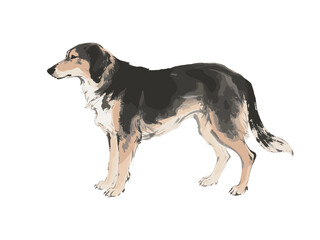 Elegant Ink Wash Dog Portrait