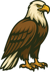 eagle on a white background