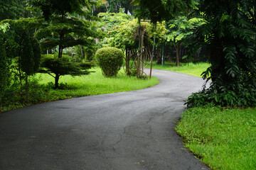 Fresh green lawns in the park. Blur nature bokeh green park trees in morning.