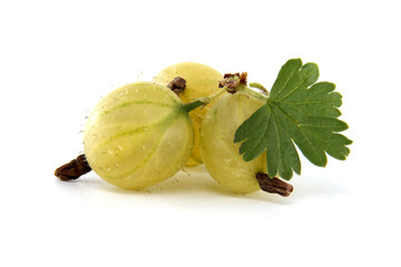 A cluster of ripe gooseberries, showcasing their fresh and juicy texture.