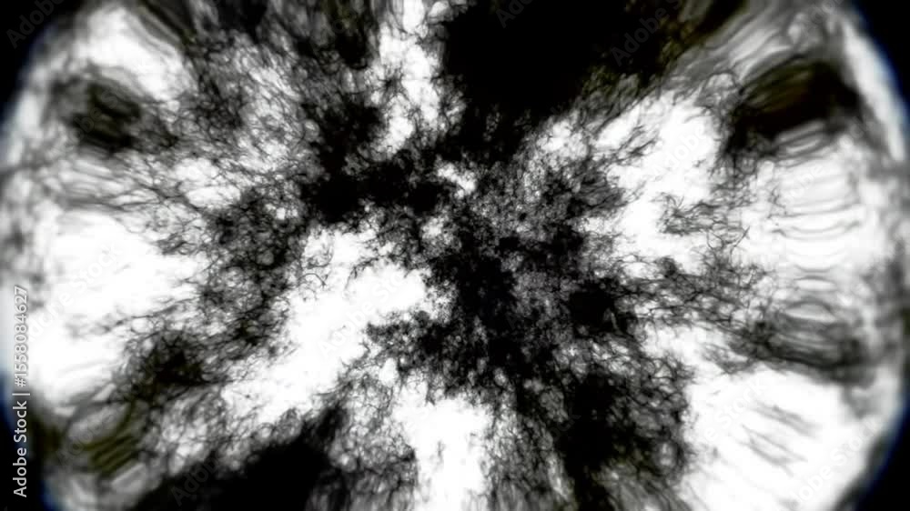Poster abstract black and white animation: dynamic energy and fractal patterns emerging and disappearing