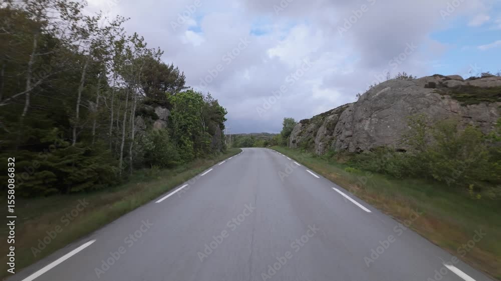 Poster driving on an empty road through dense trees on a cloudy day. pov shot