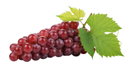 Fototapeta premium Red globe grapes with leaves isolated PNG with Transparent Background