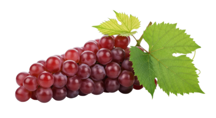 Red globe grapes with leaves isolated PNG with Transparent Background